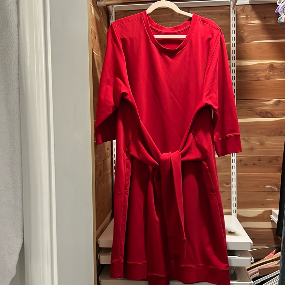 Universal standard sweatshirt style dress with tie in the front. Super fun.